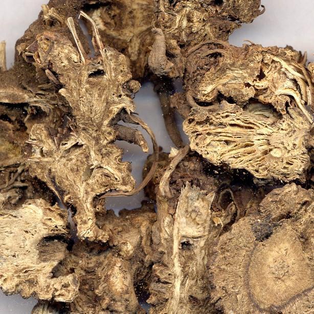 本草图经作者是谁，《本草图经》的作者（芎藭 蘼蕪 藁本）