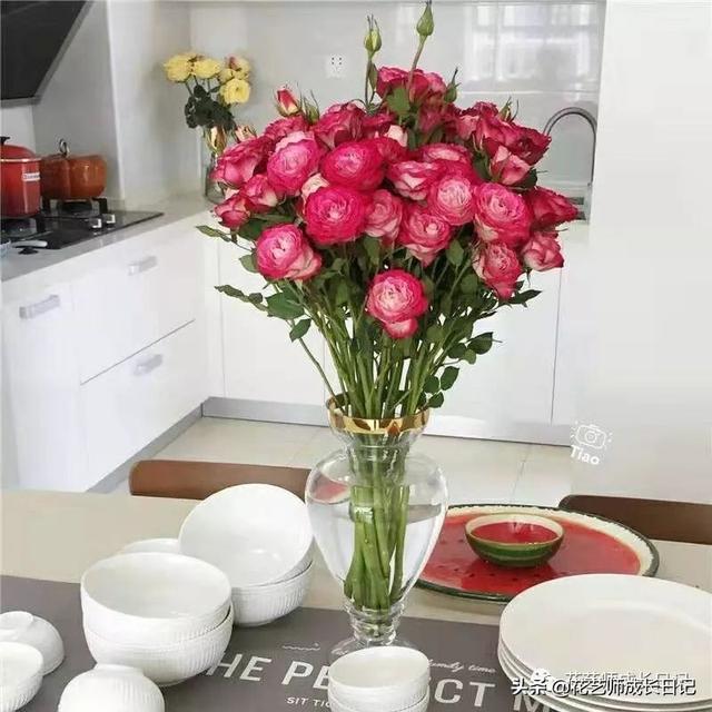 多头玫瑰花语，多头玫瑰花语是什么（白红交融的高级配色）