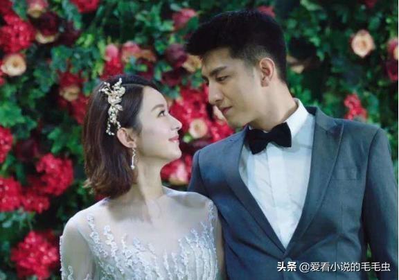 腹黑是什么意思，傻白甜是什么意思（七本让人欲罢不能的腹黑男主文）
