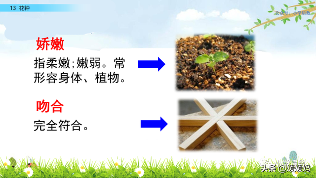 芬芳迷人的意思，芬芳迷人是什么意思解释一下（三年级下册语文第13课《花钟》图文详解及同步练习）