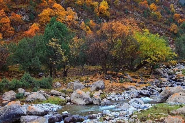 甘肃陇南女人特点，陇南的特点（甘肃最漂亮的14个美女）