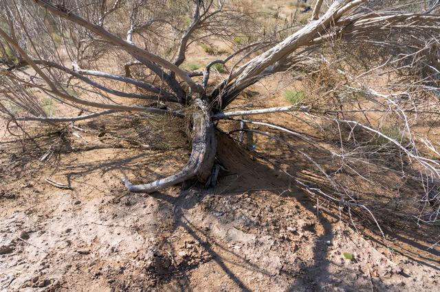甘肃的沙漠主要分布在哪两个市，中国第二“罗布泊”甘肃沙漠县