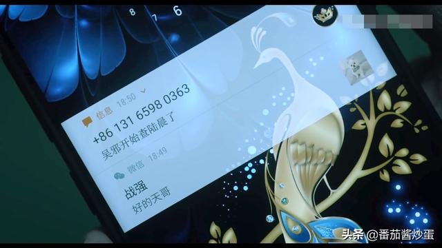 重启之极海听雷中陆晨是谁，重启之极海听雷陆晨怎么回事（《重启》吴邪步步为营）