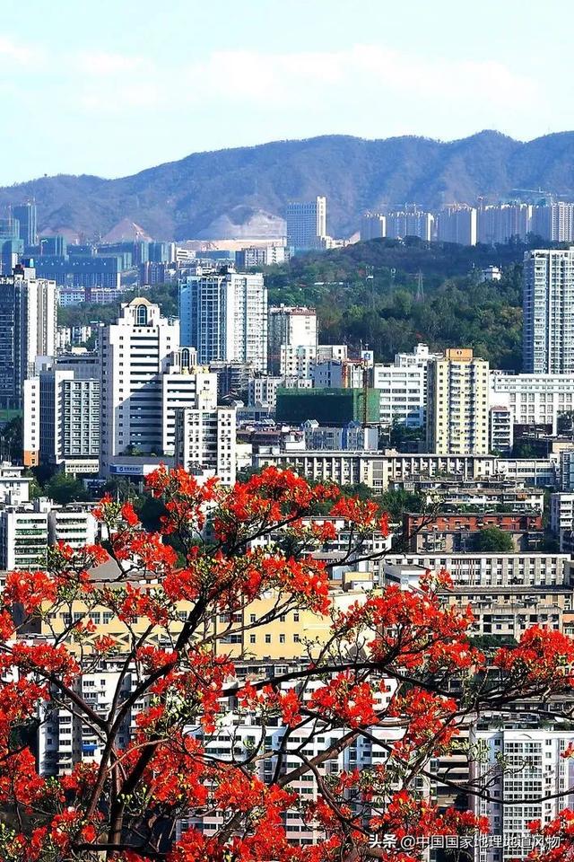 攀枝花是哪个省的城市，西部区（“四川特区”攀枝花）