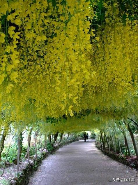 内蒙古人所说的风季是哪个季节，蒙古人的风季是什么季节（中国历史地理常识大全）