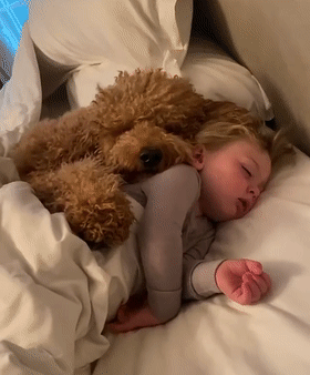 泰迪熊抱抱熊，一出生就有三个巨型“泰迪熊”陪睡（泰迪熊抱抱熊适合结婚送么）