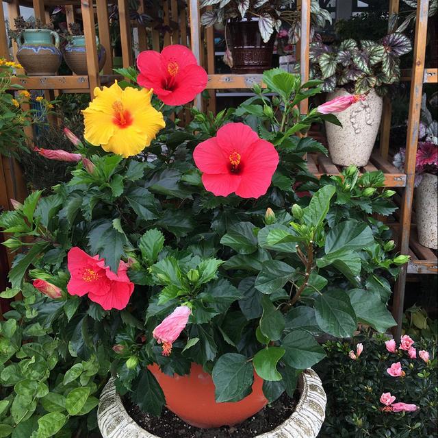 雨水是酸性还是碱性，正常雨水是酸性还是碱性（下雨多淋“雨水”）