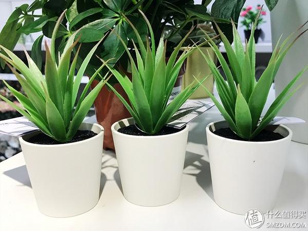 10l等于多少斤，10升水等于多少斤（10元以下的好物）