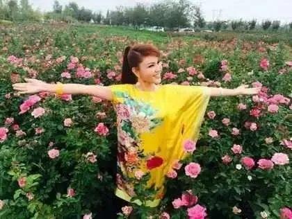 阿尔山的姑娘歌词，姑娘美如花是什么歌（乌兰图雅《阿尔山的姑娘》）