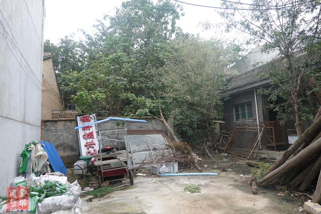 秦琼墓在什么地方，秦琼墓怎么会在袁家村（陕西咸阳尉迟敬德<尉迟恭>墓）