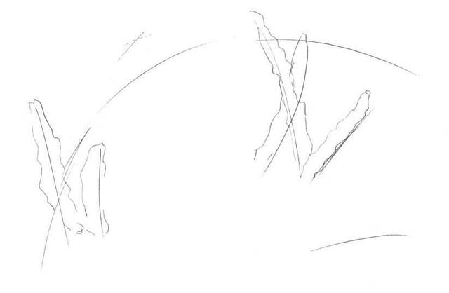 草的简笔画怎么画，草的简笔画怎么画 可爱拟人（超详细吉祥草钢笔画教程）