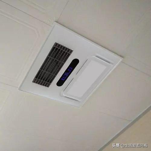 霸王芋，卫生间潮湿、发霉、不通风（霸王芋的养殖方法和注意事项）