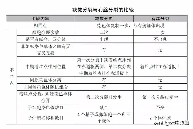 姐妹染色单体和染色单体的区别，染色体与染色单体区别图解（减数分裂与有丝分裂的比较）