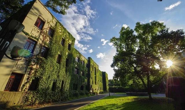 重庆理工大学是985还是211，重庆交通大学是985大学还是211大学（重庆这所院校“不简单”）