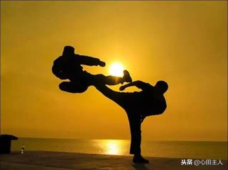 中国的拳法有哪些，中国的拳法有哪些名字（中国武术拳种概举）