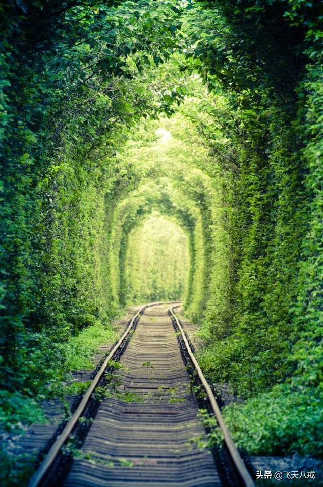 南京景点介绍，南京一日游必去景点推荐（南京九个不得不去的小众景点）