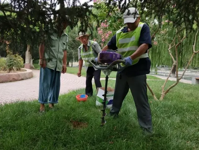 庭荫树种植方法，园林植物的养护管理措施和方法
