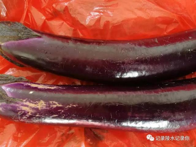 陵水民间习俗，南陵县的风俗（陵水大年初一“搬年货”）