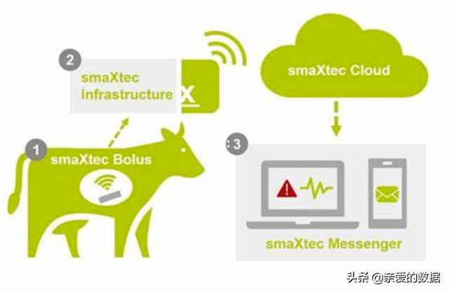 银鹭花生牛奶保质期多久，银鹭花生牛奶的保质期是多长时间（传感器、可穿戴设备、业务中台、智能供应链）