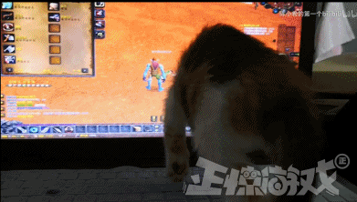 魔兽世界挂机不掉线，魔兽世界WOW（自制绝不封号的外挂）