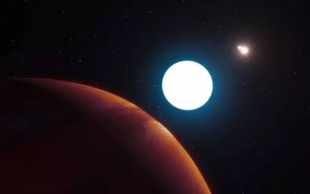 碳基生物是什么梗，《三体中》中的“三体人”和水熊虫