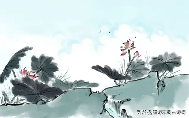 似此星辰非昨夜，似此星辰非昨夜的意思（似此星辰非昨夜的意思是什么）