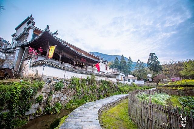 安徽塔川在哪个城市，安徽塔川是哪个县的（来踏青的游客数量让人意外）