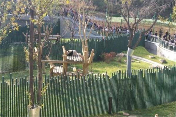 沈阳旅游景点，沈阳旅游景点自驾游大全（沈阳森林动物园是一个非常有趣味性的地方）