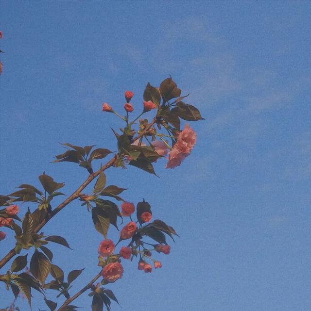 蓝色背景图，蓝色背景图片竖版（蓝色系朋友圈背景图）