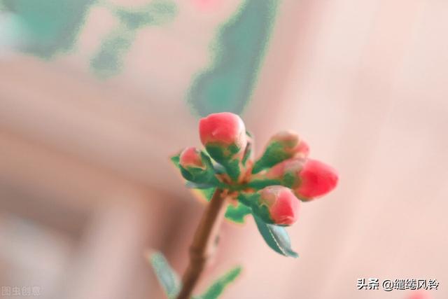 庾澄庆的<静静的>全部歌词，庾澄庆的儿子和女儿（曾是惊鸿照影来......）