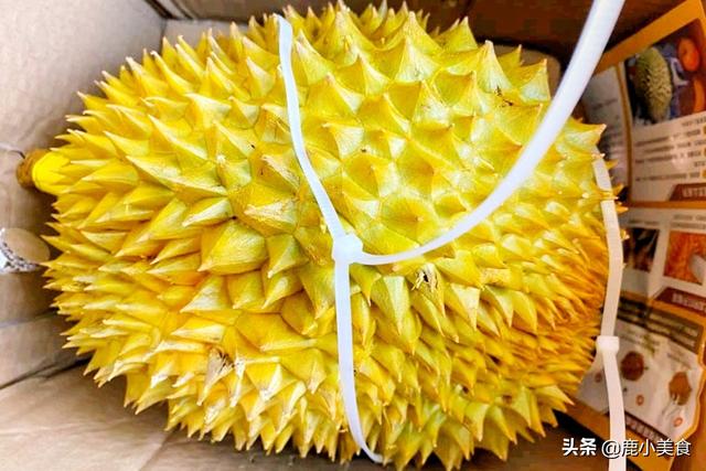 好的榴莲如何挑选，好的榴莲如何挑选甜的（教你挑选4步法）