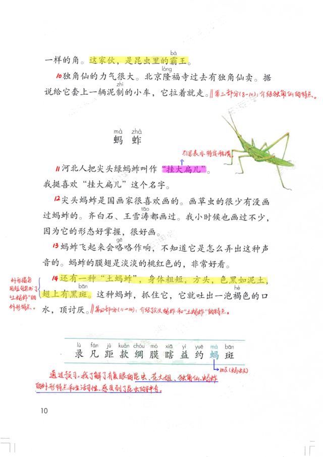 独角仙的特点是什么，独角仙的特点是什么什么,分别用了什么什么什么的方法（三年级语文下《第一单元课堂笔记》三个版本）