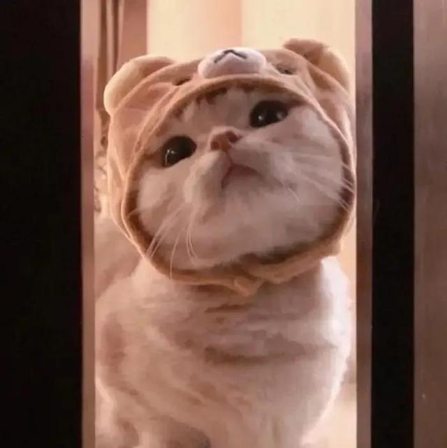 不容易被发现的情侣头像，不容易被发现的情头微信（超甜又隐蔽的情侣头像）