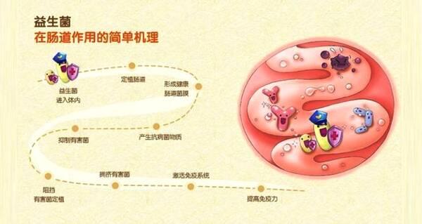 “夫妻相”可不是空穴来风，是有科学证据的