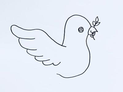 鸽子怎么画简笔画图片，鸽子简笔画怎么画（和平鸽的简笔画怎么画）