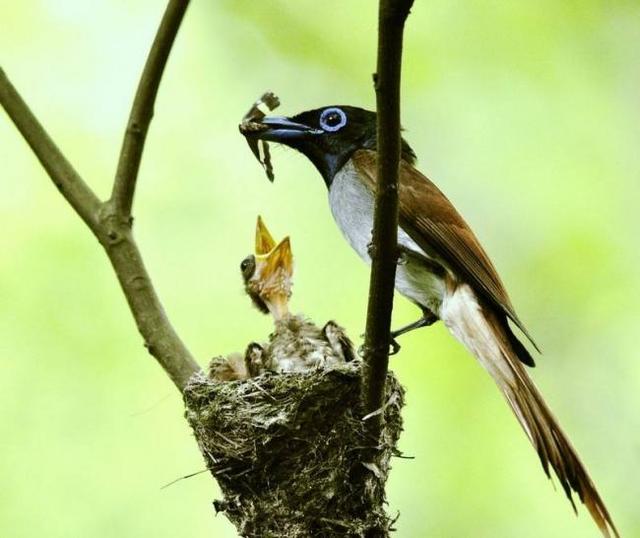 一什么之交填量词，一什么关系填量词（《说文解字》第143课）