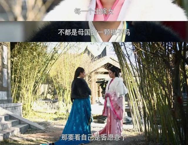 芈月传最后的大结局，缺乏思想独立性的魏颐