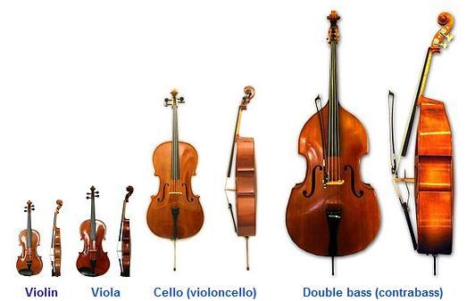 cello是什么乐器，violoncelle是什么乐器（常见西洋乐器英文名字的由来）