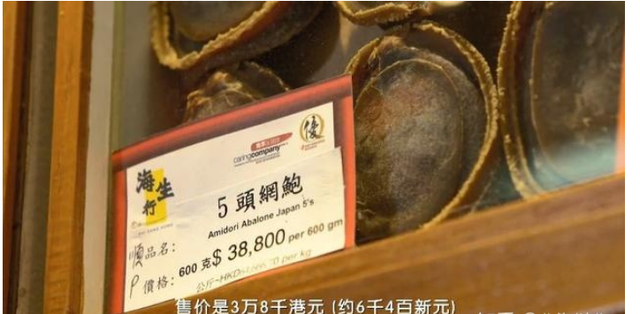 鲍鱼是什么动物，鲍鱼是什么内涵（为何大妈依旧爱理不理）