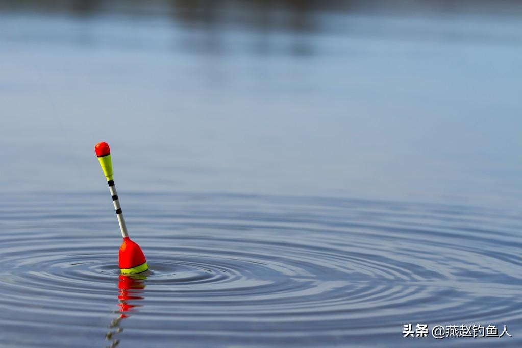 钓鱼新手必看：30秒学会看漂技巧，轻松读懂鱼讯不空竿
