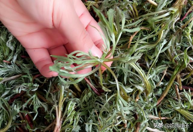 柳蒿芽怎么做好吃，凉拌柳蒿芽的做法（叫东北老家的“柳蒿芽”）