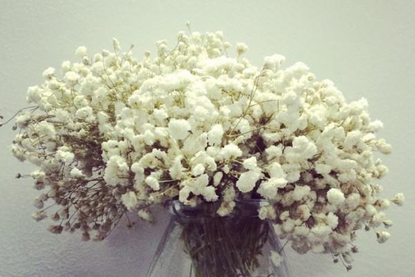 满天星是什么意思，满天星有什么意思（满天星适合送什么人）