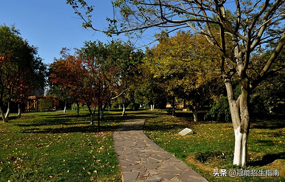 成都护理学校哪里好（今年报春考单招）