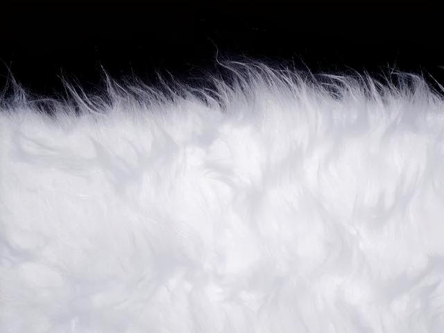 白鸭绒和灰鸭绒的区别，白鸭绒和灰鸭绒的区别是什么（鹅绒与鸭绒的差别知识）