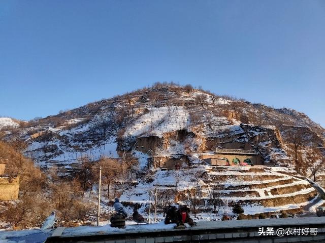 数九歌的意思是什么，数九歌啥意思（俗话说“三九四九）