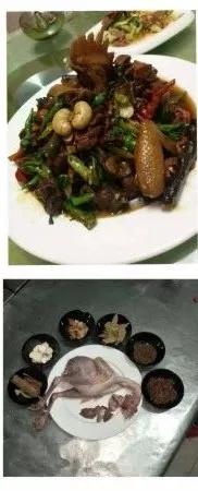 山东多乐采暖锅炉厂，多乐炉子和热立方哪个好（“枣庄老字号”不看不知道）