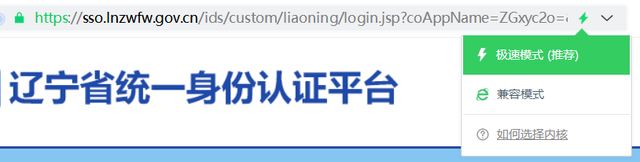 大连社保网上查询系统个人查，大连社保缴费记录查询方法（这项证明可以“网上办”）