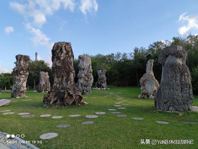 关于中国地质博物馆介绍，中国地质博物馆在哪个区（在烟台认识和了解自然与地质现象的好去处）