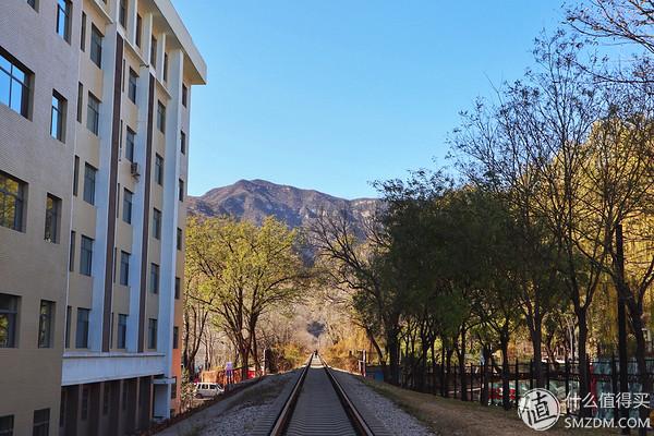 索尼t100电池型号，索尼相机八款第三方品牌可充电电池拆解（新手向开箱—Canon）