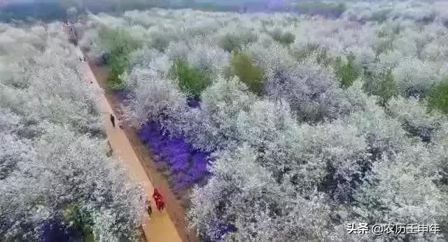 苏格拉底谈爱情婚姻和生活,醍醐灌顶,令无数人折服